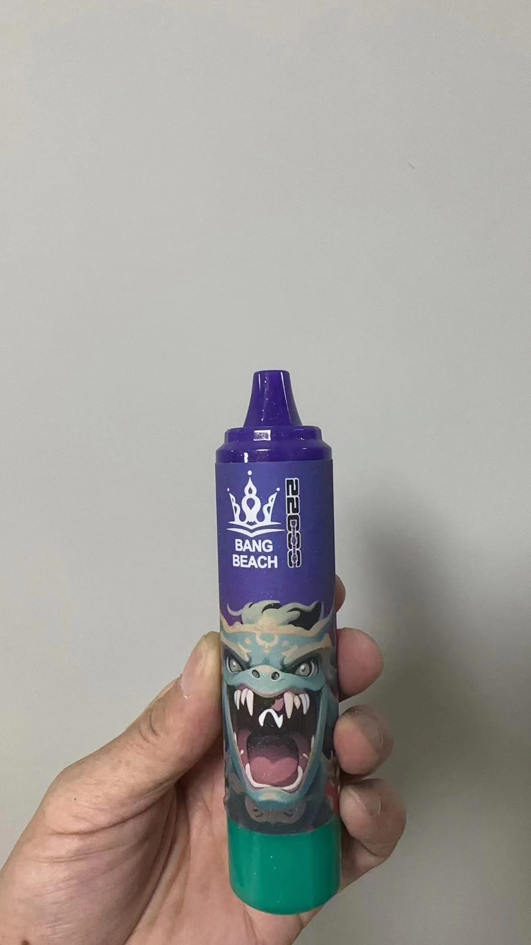 BANG BEACH Vape 22000Puffs