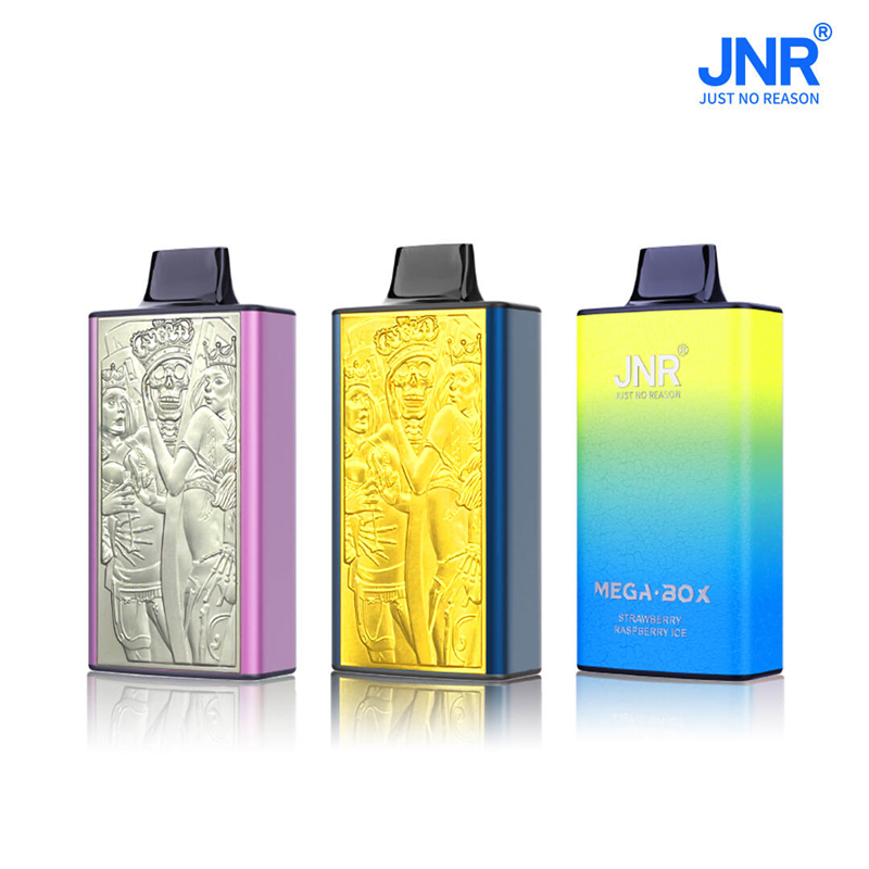 JNR Mega Box 25000 puffs Hot Sale Vape