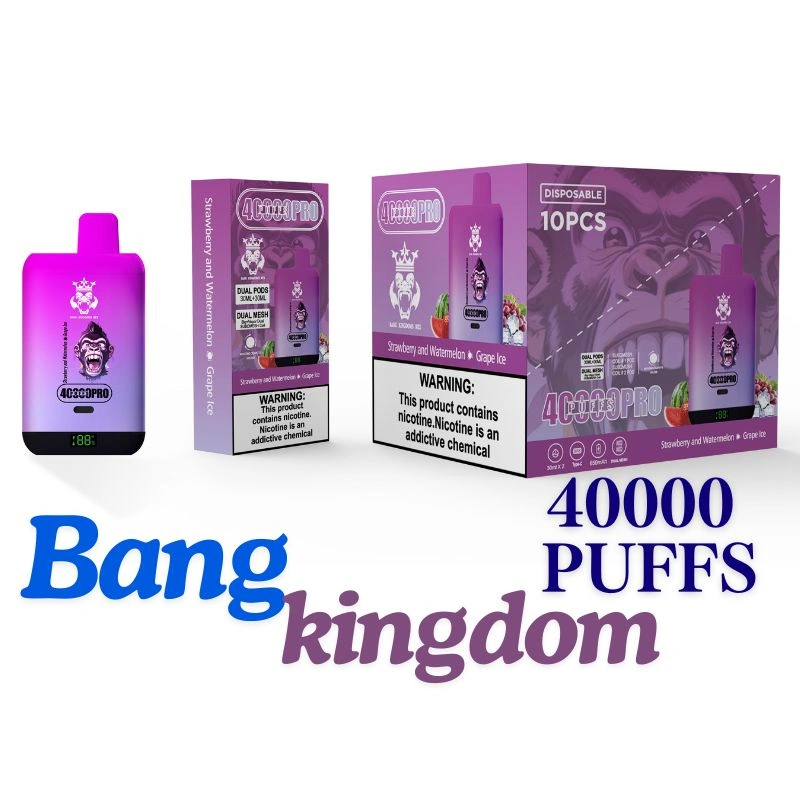 Royaumes 40000 Puffs vape jetable ultime