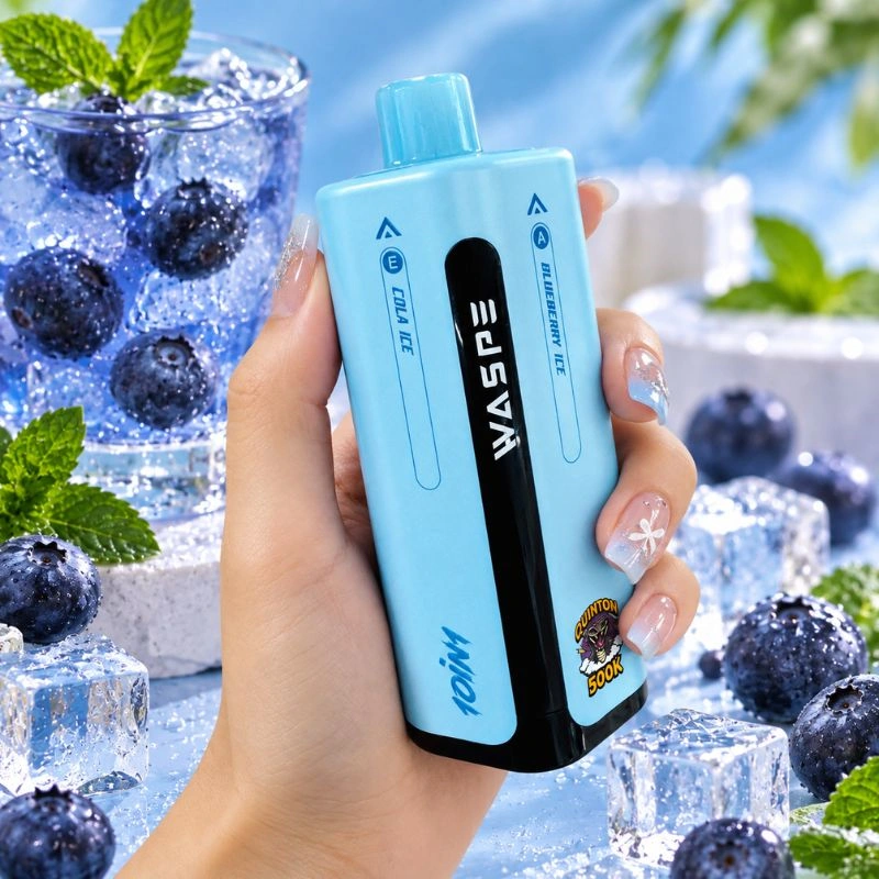 WASPE 10 in 1 Quinton 500K Puffs Vape Wholesale Price