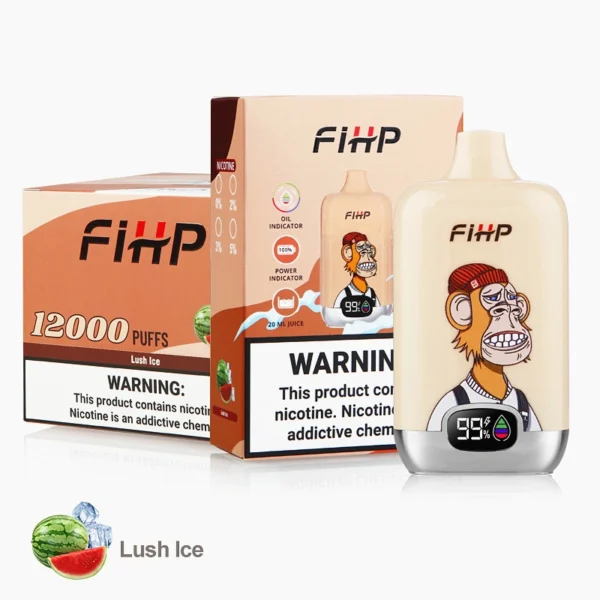 FIHP Vaper Disposable Vape Pen 12000 Puffs with Rechargeable Battery