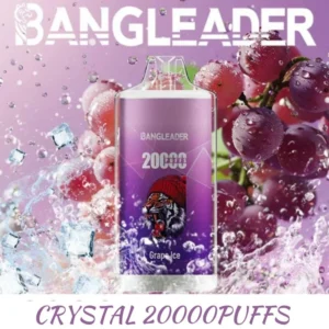 Bang Leader 20000 Puff Vape Dual Mesh Coils Crystal Vape