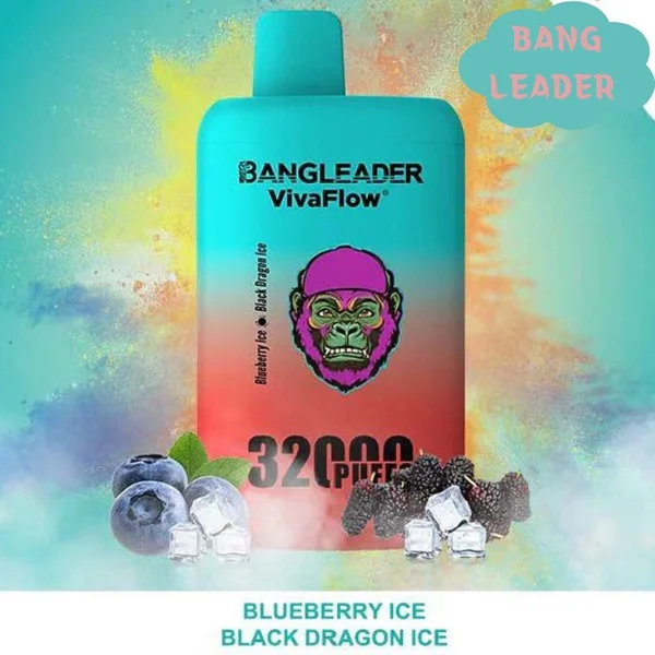 Bang Leader 32K Puffs Double Flavor Dual Cartridge Wholesale Vape