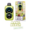 Bang Beach 38000 Puffs Smart Screen Disposable E-Cig Wholesale Bulk Available
