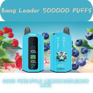 Bang Leader 50K Puffs Mega Puff Count Disposable Pod Kit With Bold Flavor Selection