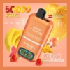 Fizzy Twins 50000 Puffs Disposable Vape Long Lasting Rechargeable E Cigarette