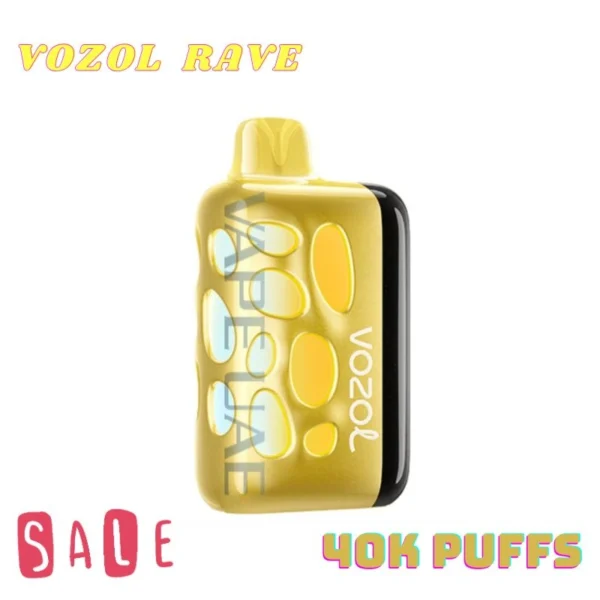 VOZOL RAVE 40000 Puffs Disposable Vape Long Lasting E Cigarette Germany