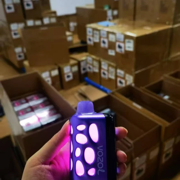 VOZOL RAVE 40000 Puffs USB C Rechargeable Disposable Vape