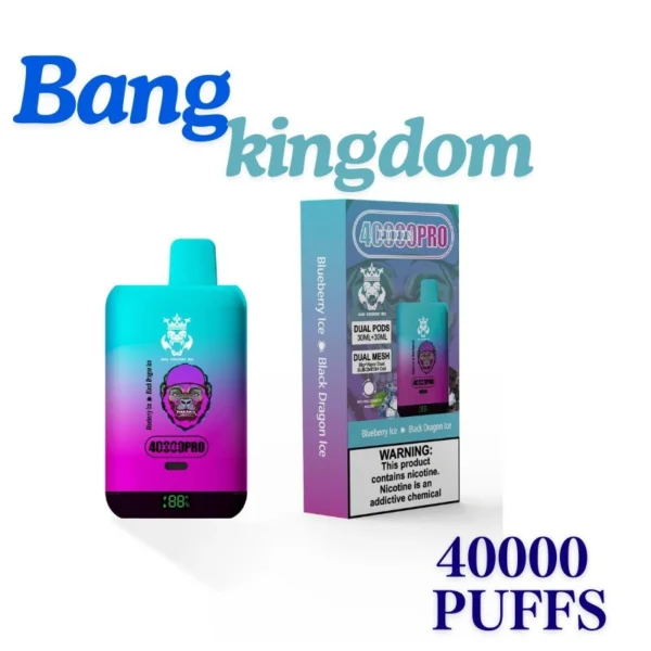 Bang Kingdoms Rex 40000 Puffs disposable vape wholesale price