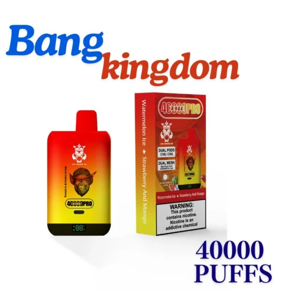 Bang Rex 40000 Puff Vape Pen High-Capacity