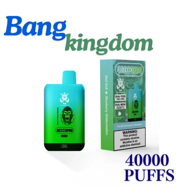 Bang Rex 40000 Puffs Powerful Disposable Vape with Massive E-Liquid Capacity