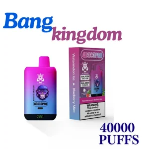 Kingdoms Rex 40000 Puff Bang Vape Premium Flavors
