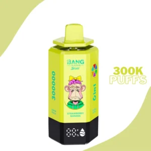 Bang Leader 300K Puffs Disposable Vape Wholesale Factory Direct Supply