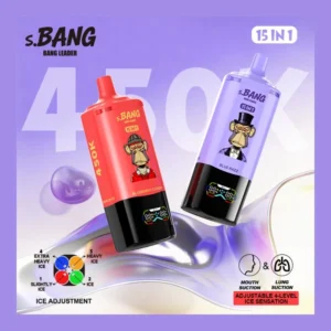 Kõrge mahutavusega Bang Leader 450000 suitsu 15 Ühes Maitsevahetusega Vape Komplekt